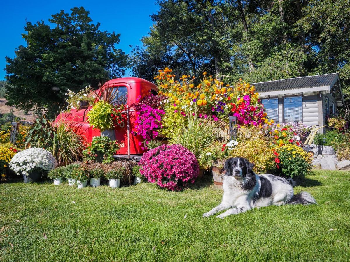 Rayleigh Riverfront Retreat- Peaceful Garden Oasis-25 Minutes To Ski Hill Kamloops Extérieur photo